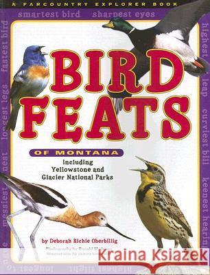 Bird Feats of Montana: Including Yellowstone and Glacier National Parks Deborah Richie Oberbillig Deborah Richi 9781560374633 Farcountry Press - książka