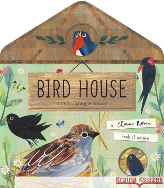 Bird House Walden, Libby 9781848576605 Little Tiger Press Group - książka