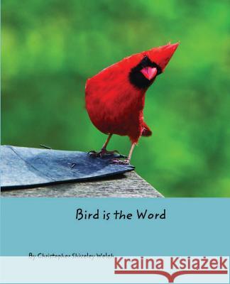 Bird is the Word Christopher Shiveley Welch Stands with Wings Graphics 9781792309359 Good Red Road Publishing LLC - książka