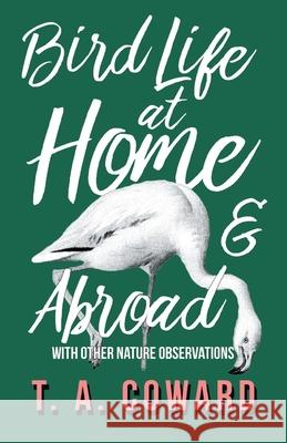Bird Life at Home and Abroad - With Other Nature Observations T a Coward 9781528701747 Read Books - książka