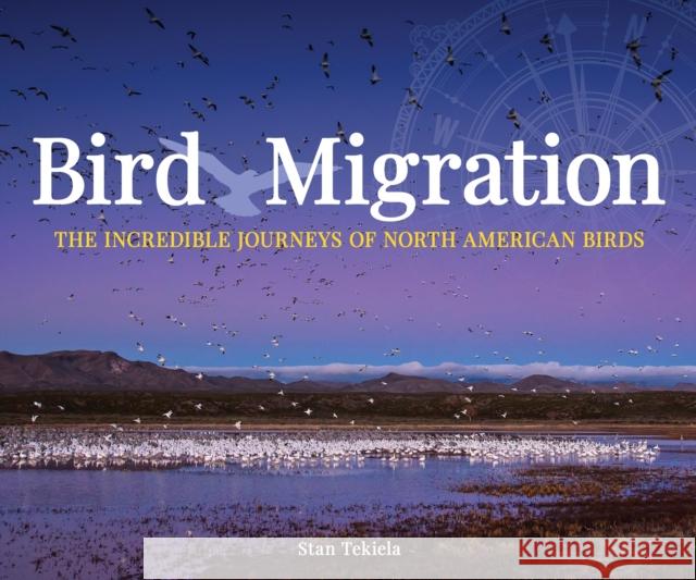 Bird Migration: The Incredible Journeys of North American Birds Stan Tekiela 9781591938149 Adventure Publications - książka