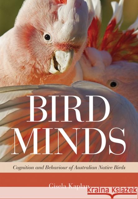 Bird Minds: Cognition and Behaviour of Australian Native Birds Gisela Kaplan 9781486300181 CSIRO Publishing - książka