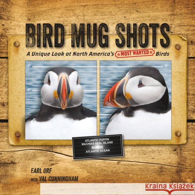 Bird Mug Shots: A Unique Look at North America's Most Wanted Birds Earl Orf Val Cunningham 9780990915881 Stone Ridge Press - książka