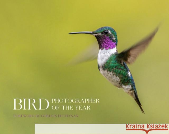 Bird Photographer of the Year Bird Photographer of the Year 9780008649968 HarperCollins Publishers - książka