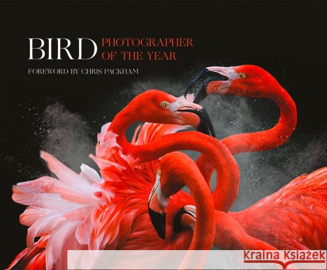 Bird Photographer of the Year: Collection 3 Bird Photographer of the Year 9780008293628 HarperCollins Publishers - książka