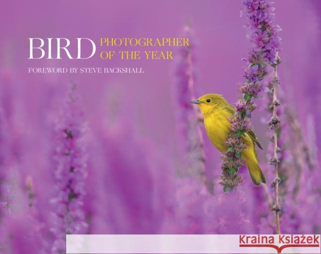 Bird Photographer of the Year: Collection 7 Bird Photographer of the Year            Steve Backshall 9780008547578 HarperCollins Publishers - książka