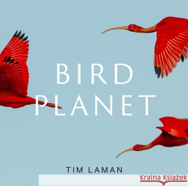 Bird Planet: A Photographic Journey Tim Laman 9781419761492 ABRAMS - książka
