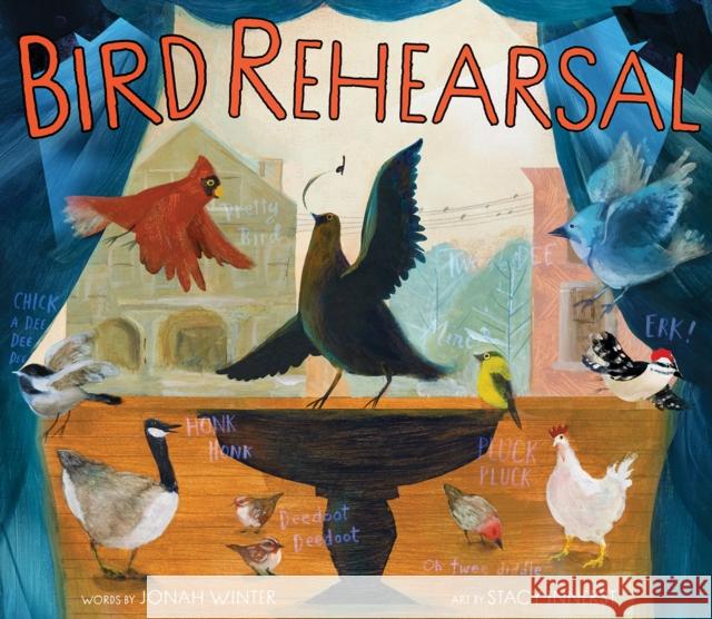 Bird Rehearsal: A Picture Book Jonah Winter 9781949480320 Cameron & Company Inc - książka