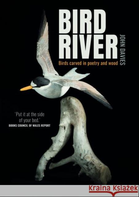 Bird River John Davies 9781845279370 Gwasg Carreg Gwalch - książka