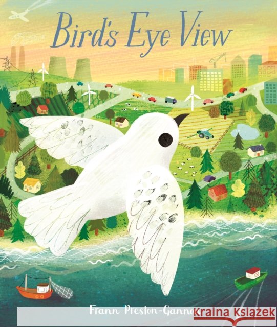 Bird's Eye View Frann Preston-Gannon 9781787416840 Templar Publishing - książka
