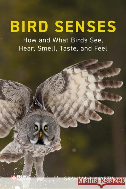 Bird Senses: How and What Birds See, Hear, Smell, Taste and Feel Martin, Graham 9781784272166 Pelagic Publishing Ltd - książka