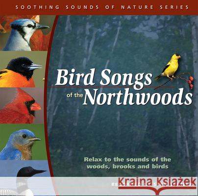 Bird Songs of the Northwoods - audiobook Tekiela, Stan 9781591931195 Adventure Publications - książka