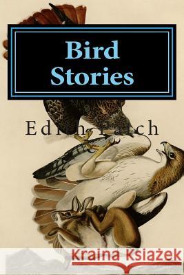 Bird Stories Edith M. Patch 9781499355253 Createspace - książka