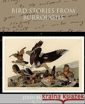 Bird Stories from Burroughs John Burroughs 9781438594163 Book Jungle - książka