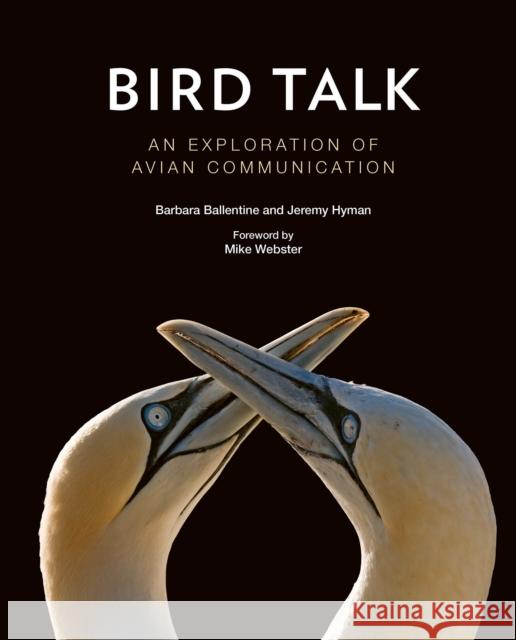 Bird Talk: An Exploration of Avian Communication Barbara Ballentine Jeremy Hyman Jeremy Hyman 9781501753428 Comstock Publishing - książka