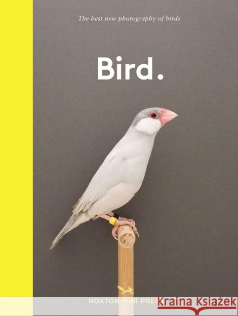 Bird.: The best new photography of birds Hoxton Mini Press 9781910566718 Hoxton Mini Press - książka