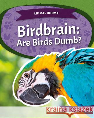 Birdbrain: Are Birds Dumb?: Are Birds Dumb? Laura Perdew 9781532196652 Kids Core - książka