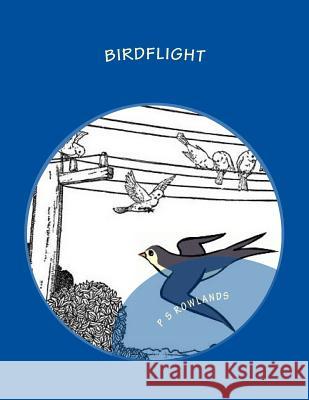 Birdflight: A Science Drama Playscript P. S. Rowlands 9781492701378 Createspace - książka