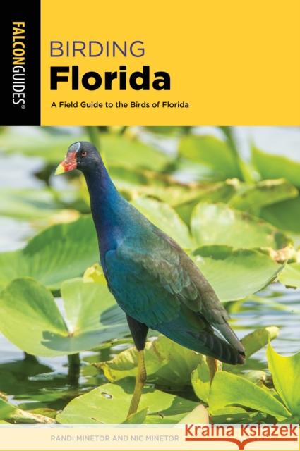 Birding Florida: A Field Guide to the Birds of Florida Randi Minetor, Nic Minetor 9781493055159 Rowman & Littlefield - książka