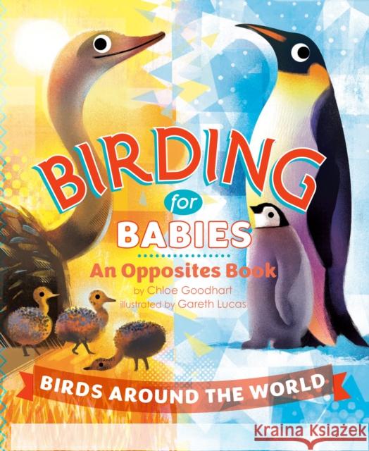 Birding for Babies: Birds Around the World: An Opposites Book Chloe Goodhart Gareth Lucas 9780593752005 Penguin Putnam Inc - książka