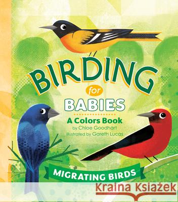 Birding for Babies: Migrating Birds: A Colors Book Goodhart, Chloe 9780593386965 Penguin Workshop - książka