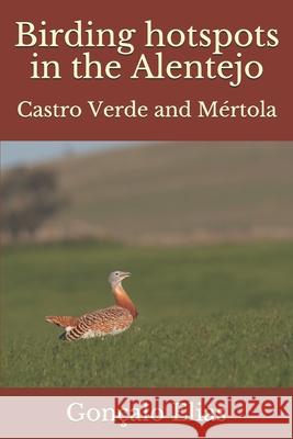 Birding hotspots in the Alentejo: Castro Verde and Mértola Elias, Gonçalo 9781707200122 Independently Published - książka