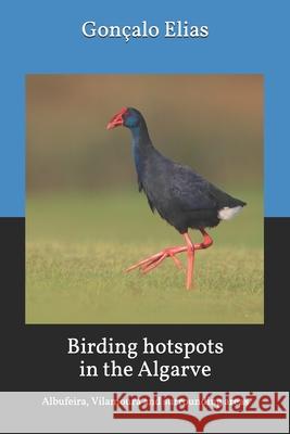 Birding hotspots in the Algarve: Albufeira, Vilamoura and surrounding areas Elias, Gonçalo 9781727589740 Createspace Independent Publishing Platform - książka