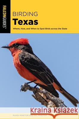 Birding Texas: Where, How, and When to Spot Birds across the State Nic Minetor 9781493072422 Falcon Guides - książka