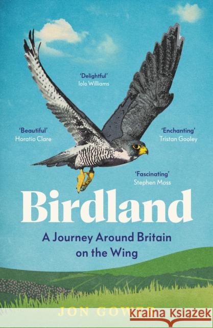 Birdland: A Journey Around Britain on the Wing Jon Gower 9780008688219 HarperCollins Publishers - książka
