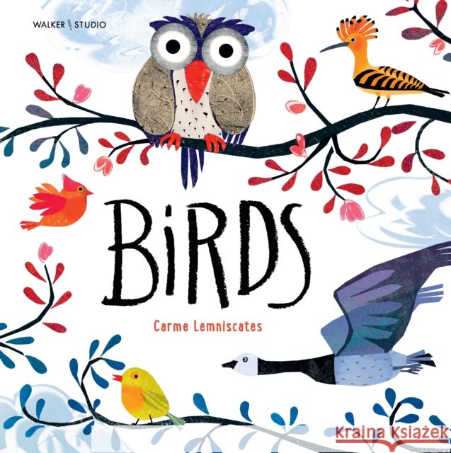 Birds Carme Lemniscates 9781406387339 Walker Books Ltd - książka