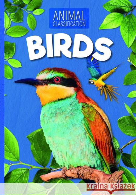 Birds Charlie Ogden   9781789980233 BookLife Publishing - książka