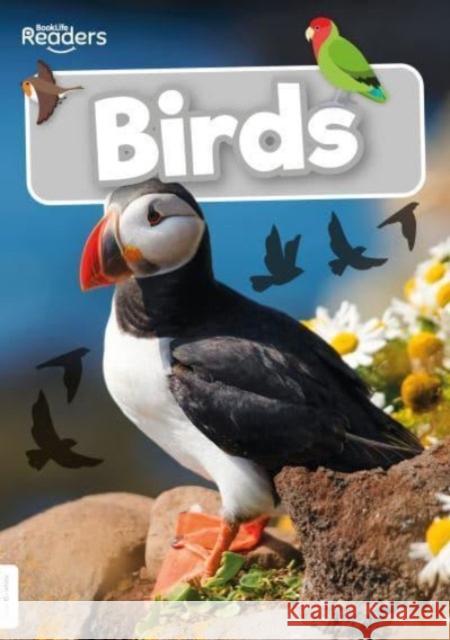 Birds William Anthony 9781805051114 BookLife Publishing - książka