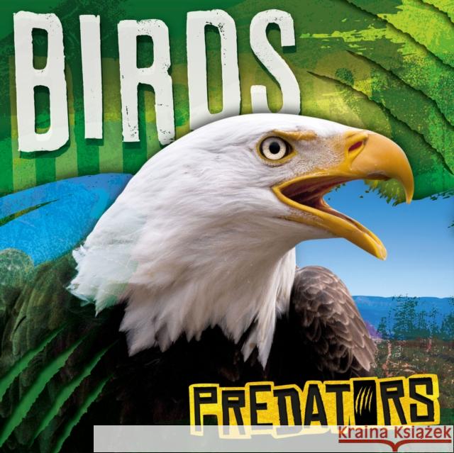 Birds Mignonne Gunasekara 9781839272585 BookLife Publishing - książka