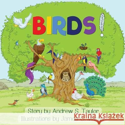 Birds! Andrew S Taylor   9781955272384 Starseed Press - książka