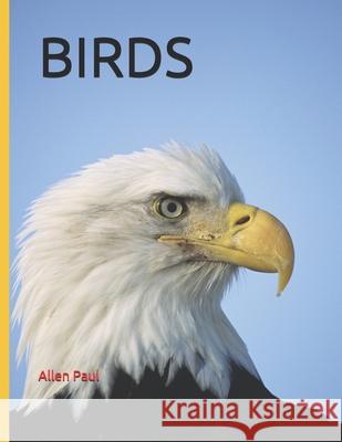 Birds Paul, Allen 9798453175222 Independently published - książka