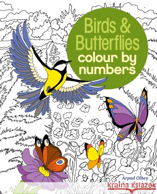 Birds & Butterflies Colour by Numbers Arpad (Illustrator) Olbey 9781784286491 Arcturus Publishing Ltd - książka