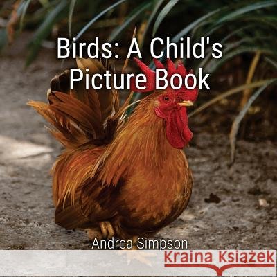 Birds: A Child's Picture Book Andrea Simpson 9781539835332 Createspace Independent Publishing Platform - książka