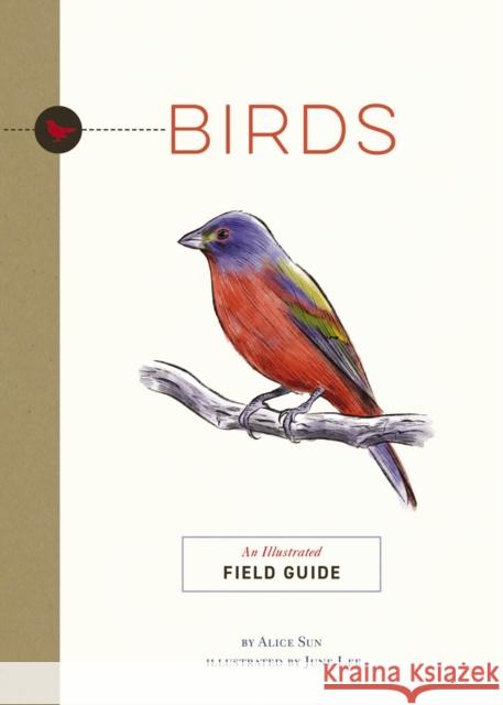 Birds: An Illustrated Field Guide June Lee Alice Sun 9781951511326 HarperCollins Focus - książka