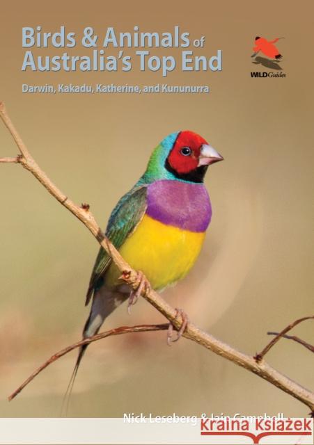 Birds and Animals of Australia's Top End: Darwin, Kakadu, Katherine, and Kununurra Leseberg, Nick 9780691161464 Princeton University Press - książka