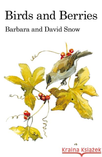 Birds and Berries Barbara Snow, David Snow, John Busby 9781408138212 Bloomsbury Publishing PLC - książka