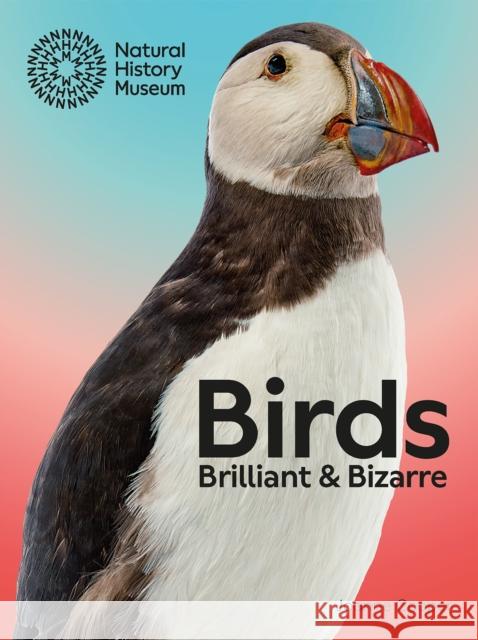 Birds: Brilliant & Bizarre Joanne Cooper 9780565095581 The Natural History Museum - książka