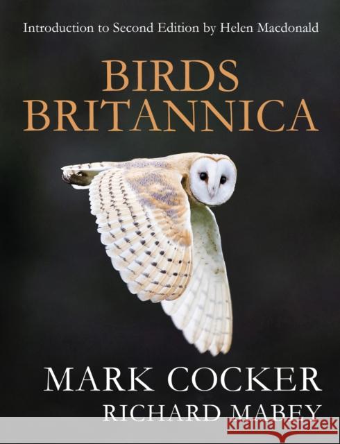 Birds Britannica Richard Mabey 9781784743789 Vintage Publishing - książka
