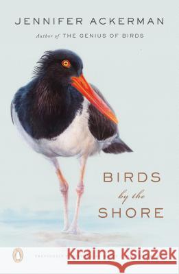 Birds by the Shore: Observing the Natural Life of the Atlantic Coast Jennifer Ackerman 9780143134183 Penguin Books - książka
