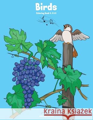 Birds Coloring Book 4, 5 & 6 Nick Snels 9781981393015 Createspace Independent Publishing Platform - książka