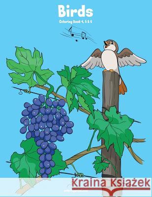 Birds Coloring Book 4, 5 & 6 Nick Snels 9781981393015 Createspace Independent Publishing Platform - książka