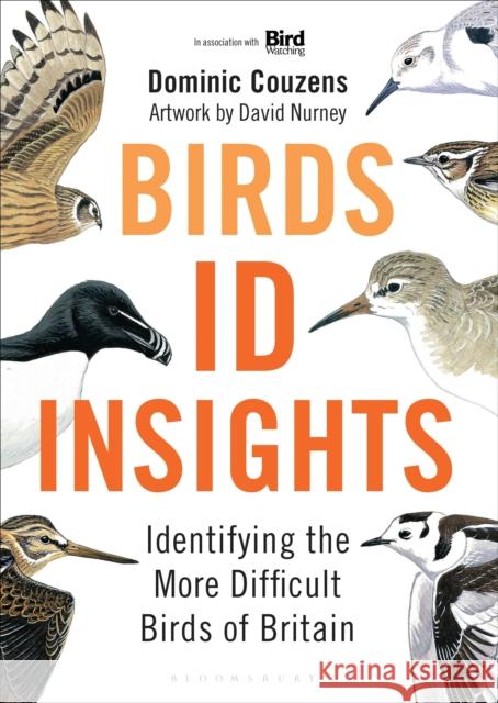 Birds: ID Insights: Identifying the More Difficult Birds of Britain Dominic Couzens Dave Nurney 9781472982131 Bloomsbury Publishing PLC - książka