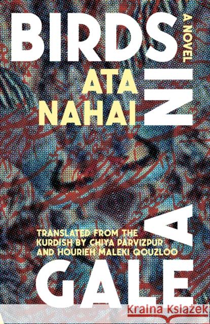 Birds in a Gale: A Novel Ata Nahai 9781945335457 Common Notions - książka