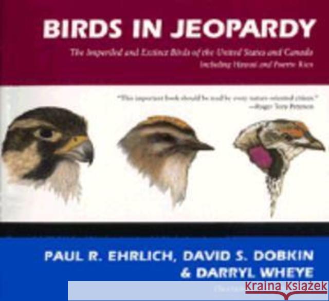 Birds in Jeopardy: The Imperiled and Extinct Birds of the United States and Canada Paul R. Ehrlich Darryl Wheye David S. Dobkin 9780804719810 Stanford University Press - książka