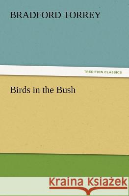 Birds in the Bush Bradford Torrey 9783847219071 Tredition Classics - książka