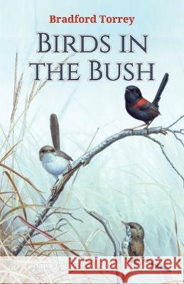 Birds in the Bush Bradford Torrey 9789392322846 Hawk Press - książka